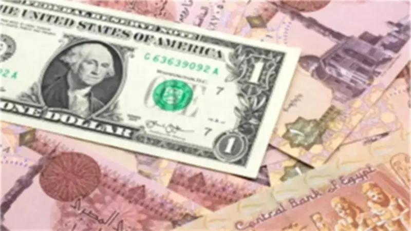 استقرار سعر الدولار مقابل الجنيه المصري اليوم الأربعاء 3 يونيو 2026