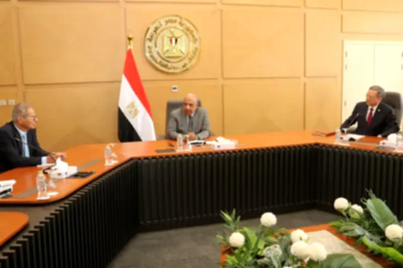 وزير الكهرباء: نستهدف رفع مساهمة الطاقة المتجددة إلى 45% من مزيج الطاقة خلال عامين