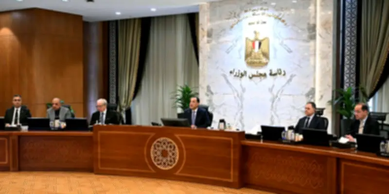 مصر تحقق رقماً قياسياً في توريد القمح بـ 4.6 مليون طن