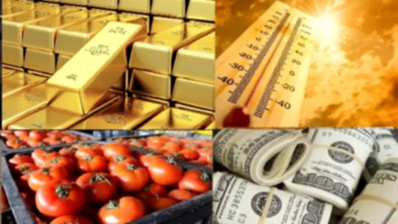 اشترِ الذهب قبل الارتفاع.. أسعار الذهب والدولار والطماطم اليوم الجمعة 5 يونيو 2026