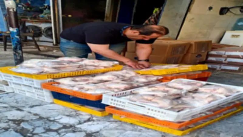 ضبط 500 كيلو دواجن ومصنعاتها مجهولة المصدر قبل طرحها بأسواق بورسعيد