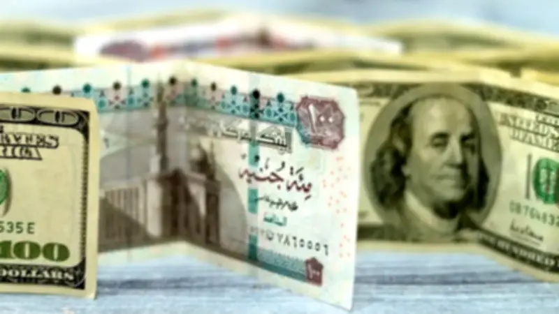 استقرار سعر الدولار عند 51.95 جنيه في البنوك اليوم الجمعة 5 يونيو 2026