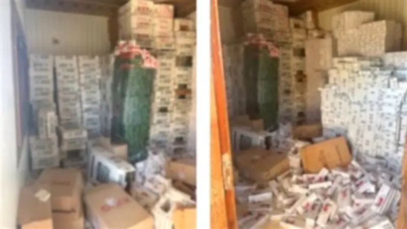 ضبط 65 ألف عبوة سجائر مهربة داخل محل ومخزن غير مرخصين بالإسكندرية ومطروح