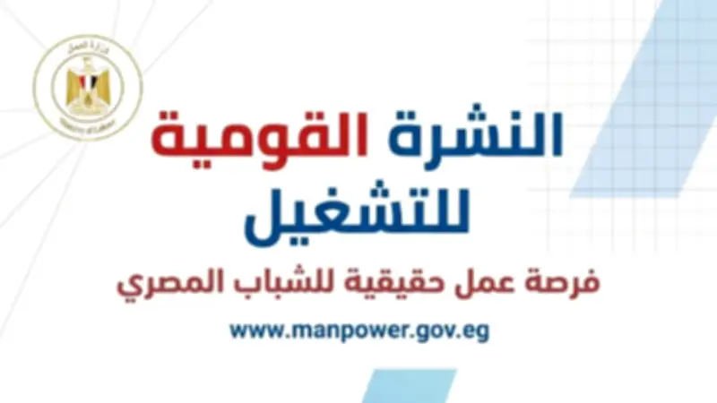 7781 فرصة عمل جديدة للشباب في 49 شركة خاصة بـ11 محافظة والتقديم مستمر خلال يونيو