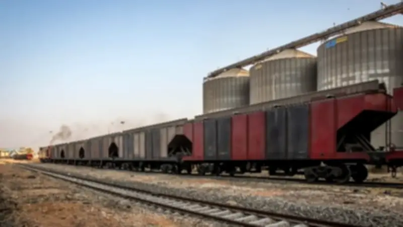ميناء دمياط يستقبل 8 سفن حاويات وبضائع عامة خلال 24 ساعة
