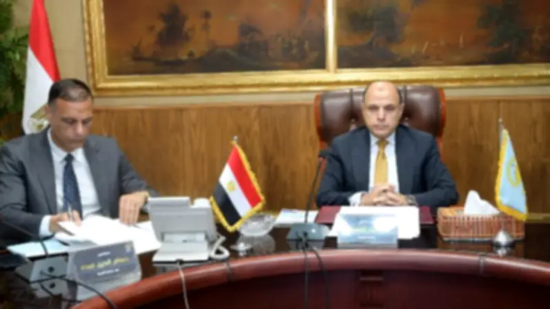 زفتى على وشك إعلان اكتمال المرحلة الأولى لحياة كريمة بنسبة تنفيذ 97.74%