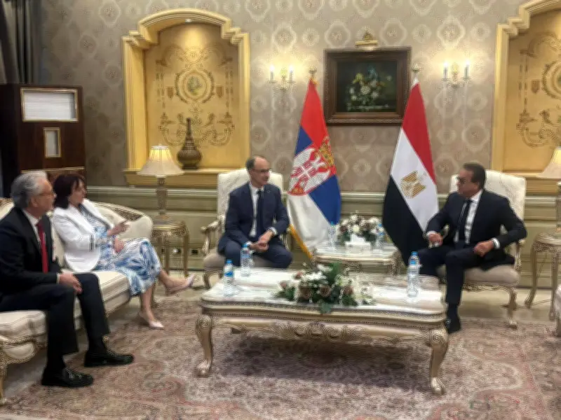 عبدالغفار: الشراكة مع صربيا تحقق مصالح البلدين في مجالات متعددة