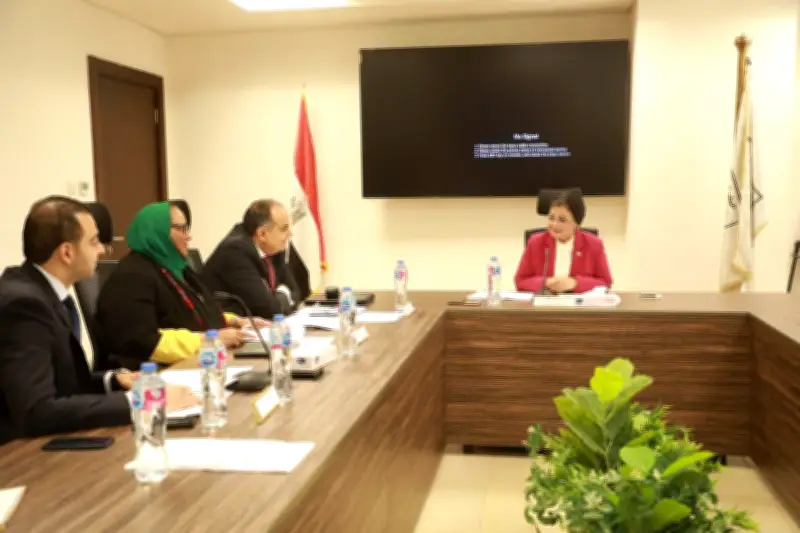 عَبلة الألفي: نتائج المسح الأخير أظهرت مؤشرات إيجابية في تراجع معدلات الإنجاب