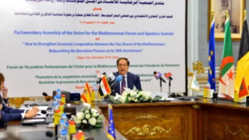 أبو العينين: ليبيا تتعرض لحروب بالوكالة ويجب حل ليبي-ليبي دون تدخل