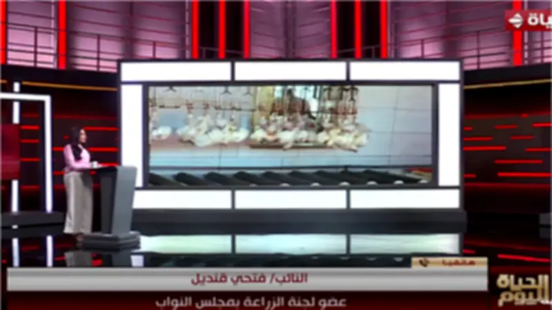عضو بـ«زراعة النواب»: الدولة تنحاز للمواطن وتسعى لتحقيق توازن عادل في سوق البيض