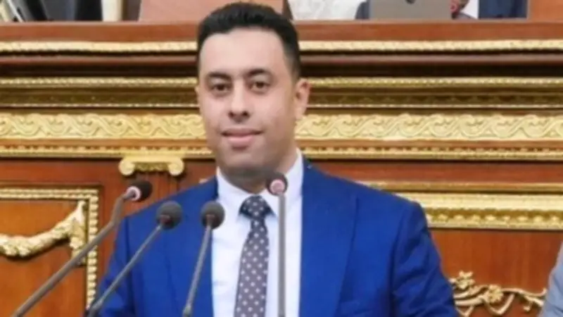 أحمد فرغل: مصر عصية على الإفلاس والسياسات المالية أرهقت الشارع