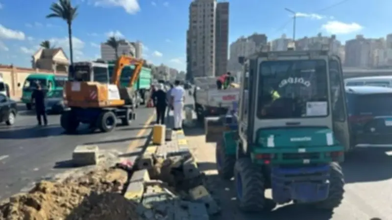 تركيب إشارة مرورية بشارع مصطفى كامل في الإسكندرية استجابة لشكاوى المواطنين