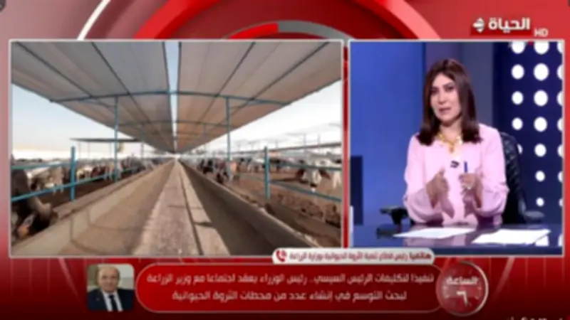 خطة طموحة لرفع إنتاج اللحوم والألبان في مصر عبر التحسين الوراثي