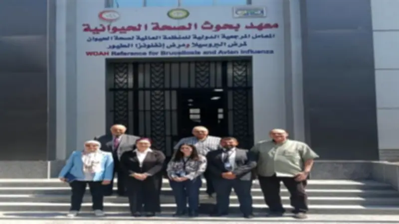 معهد بحوث الصحة الحيوانية يبحث مع وفد أمريكي تعزيز التعاون في الصحة الحيوانية