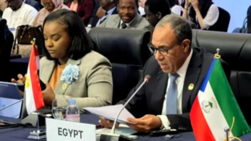 وزير الخارجية يستعرض رؤية مصر لتعزيز التعاون الاقتصادي مع كوريا وأفريقيا