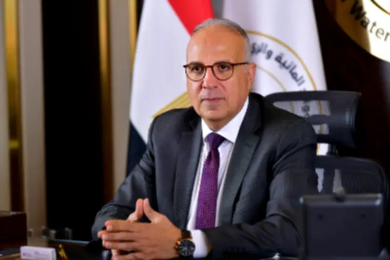 الري تعلن نجاحها في توفير الاحتياجات المائية للمحافظات خلال العيد