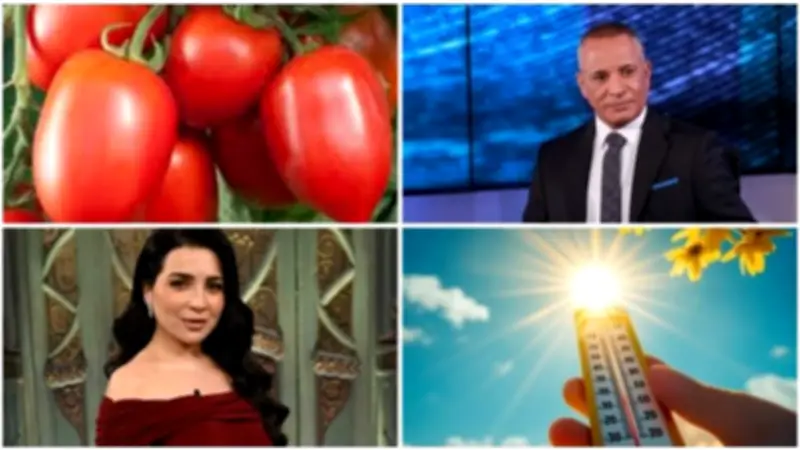 أحمد موسى ينفعل على الهواء بسبب عم شعبان.. وبشرى بانخفاض أسعار الطماطم