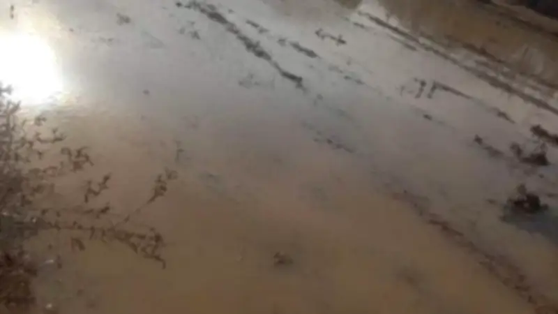 أمطار نادرة ورعد وبرق تضرب السلوم وسيدي براني وواحة سيوة