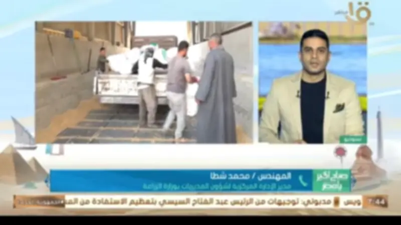 شطا: موسم حصاد القمح استثنائي وارتفاع الإنتاج يدعم الأمن الغذائي