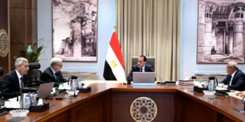 رئيس الوزراء: قطاع الدواء يحظى باهتمام كبير من الدولة المصرية