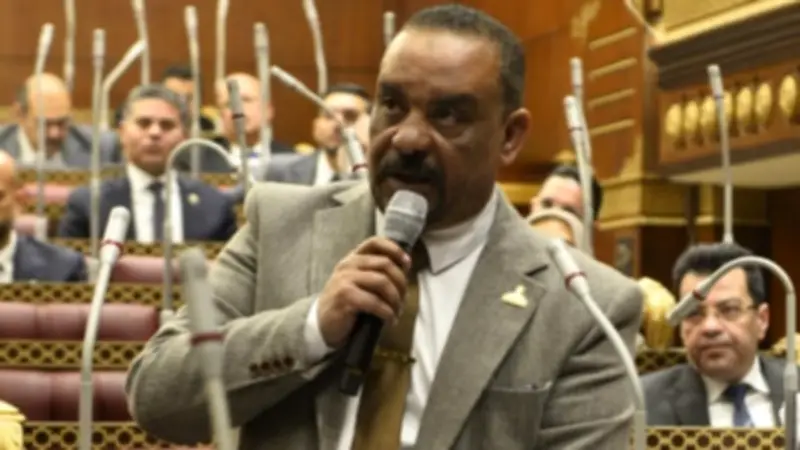 نائب بالشيوخ: مصر تقود التهدئة بالمنطقة وتحركات الرئيس تغلق أبواب الفوضى
