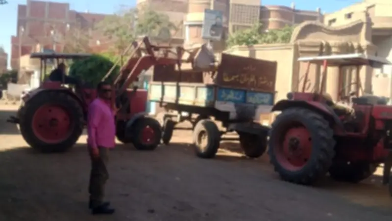 حملات مكثفة بالوحدات المحلية في بني سويف لرفع مستوى النظافة والتجميل