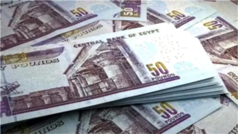 كيف تستعلم عن مستحقات المعاشات والعلاوات المتأخرة؟ دليل شامل