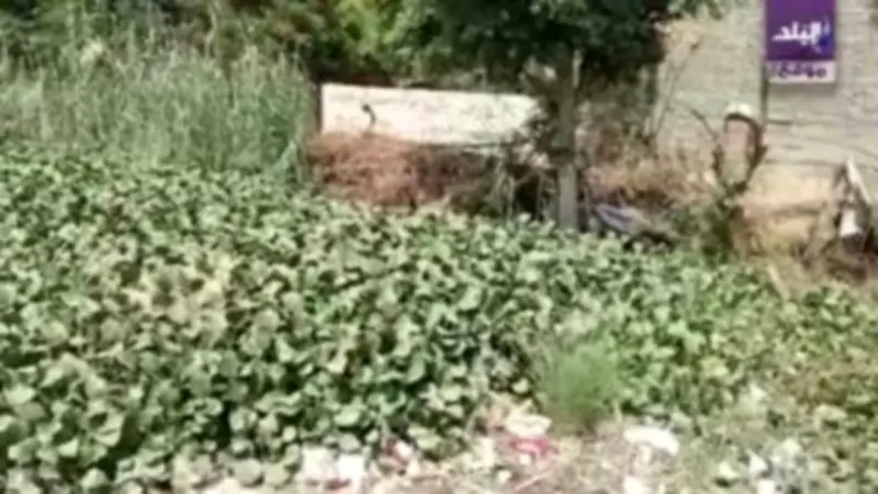 أهالي نزلة الأشطر يستغيثون بمحافظ الجيزة لتغطية ترعة تهدد حياة أطفالهم