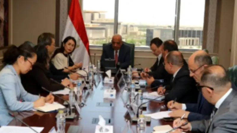 وزير الكهرباء يبحث مع الوكالة اليابانية تحديث الشبكة وتنويع مصادر الطاقة