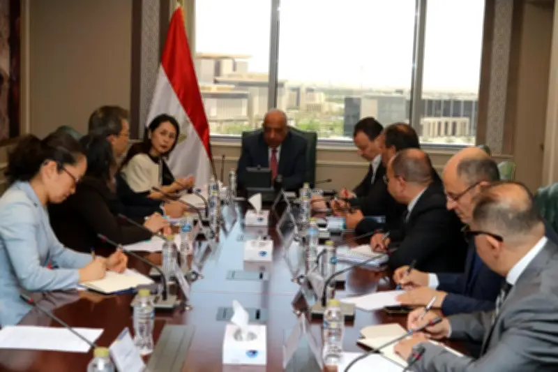 وزير الكهرباء: نعمل مع الوكالة اليابانية على تعزيز استخدام الطاقات المتجددة