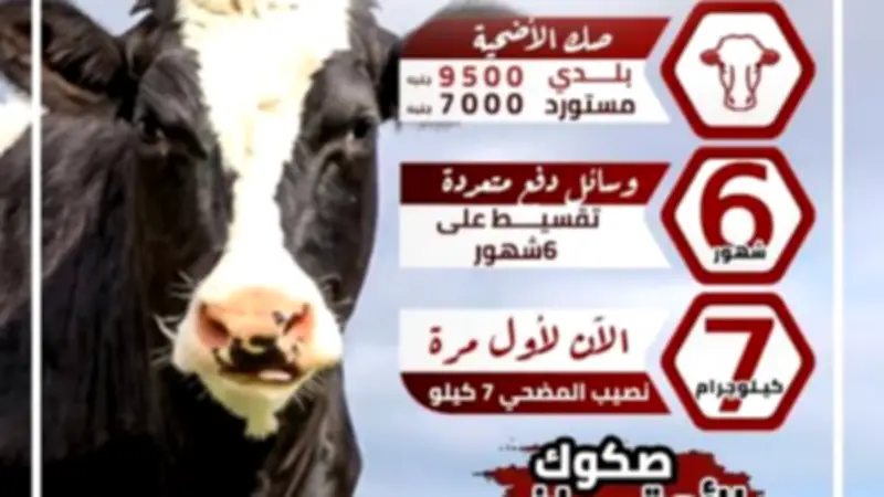 غداً انطلاق المرحلة الأولى لتوزيع أنصبة المضحين في مشروع صكوك الأوقاف