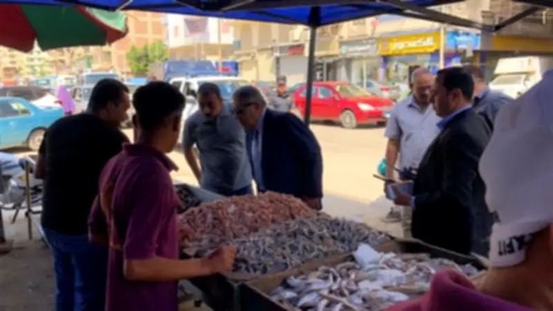 محافظ الدقهلية يتفقد المعرض الدائم للسلع ويوجه بتكثيف حملات رفع الإشغالات