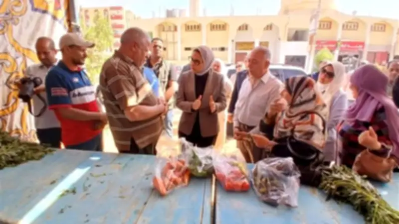 الوادي الجديد توسع المنافذ الثابتة لتوفير السلع للمواطنين بأسعار مخفضة