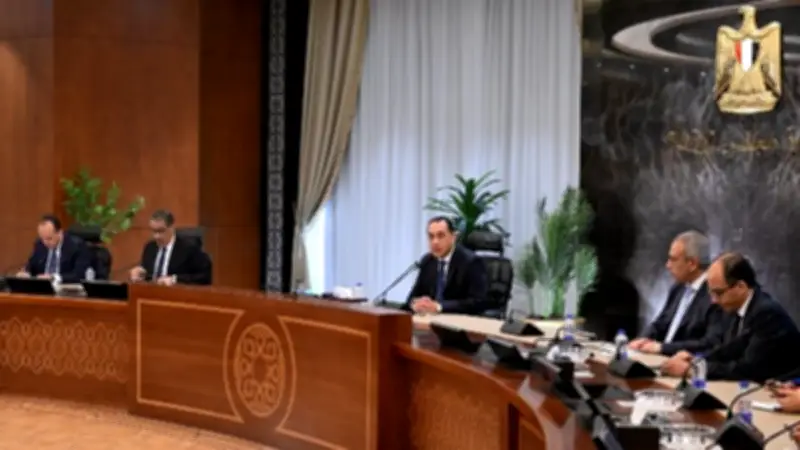 شركة صينية عملاقة تدعم شبكة الكهرباء وتحلية المياه في مصر