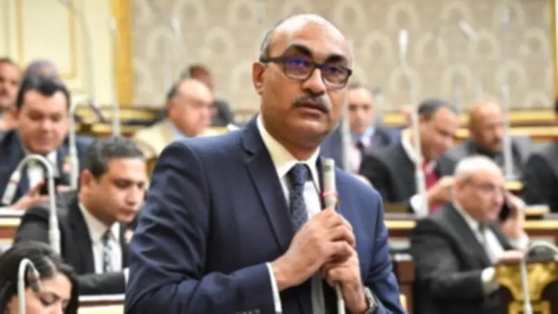إيهاب منصور: نجاح التحول للدعم النقدي مرهون بقدرة الحكومة على التنفيذ