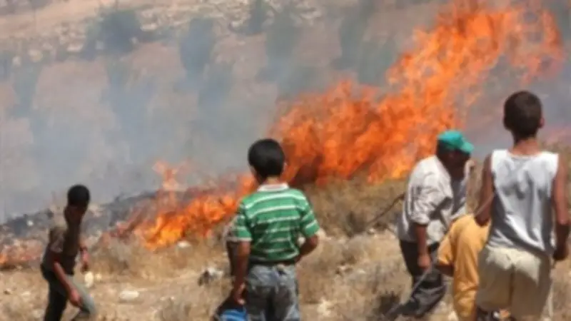 جيش الاحتلال يحرق أراضي المواطنين شمال شرقي مخيم البريج