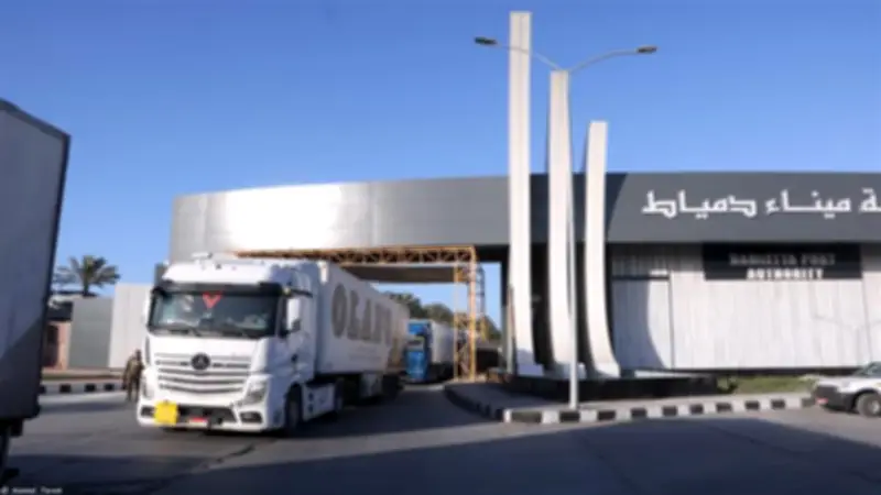 ميناء دمياط يواصل خدمة الترانزيت غير المباشر لدول الخليج عبر خط الرورو