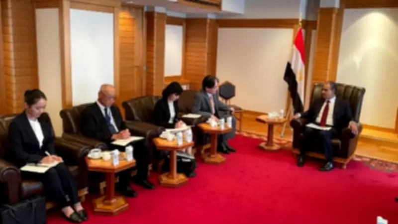 وزير الخارجية يبحث مع مؤسسة يابانية تعزيز التعاون في البنية التحتية