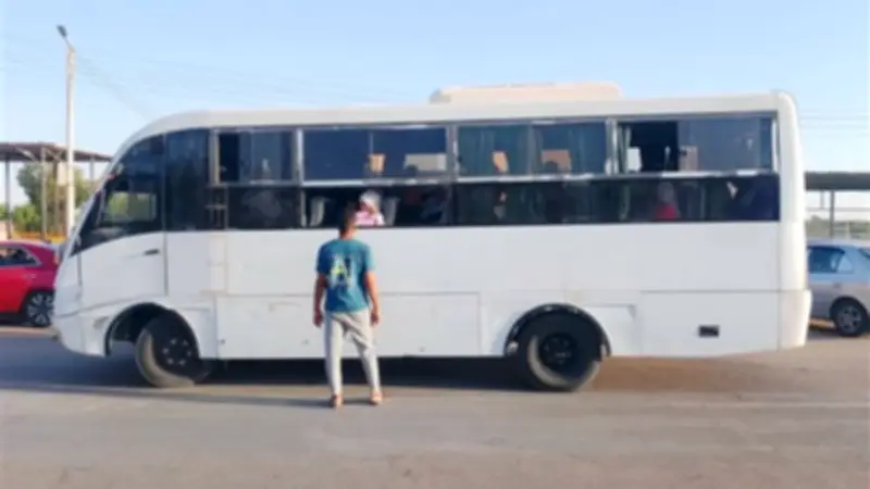 الوادي الجديد توفر نقل مجاني لطلاب الأزهر بباريس خلال الامتحانات