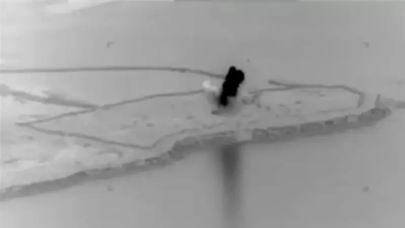 فيديو جديد يظهر لحظة قصف أمريكي لرادارات إيرانية في قشم وجورك