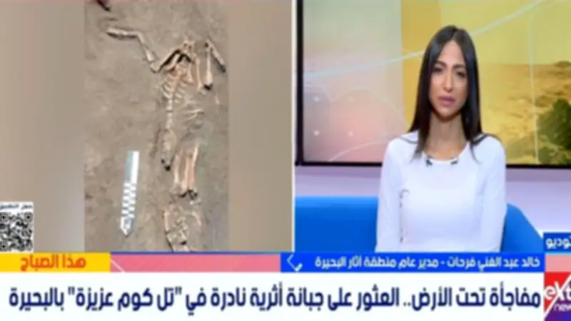 الكشف عن دفنة نادرة لخنزير وتنوع فريد لطقوس الدفن في تل كوم عزيزة بالبحيرة