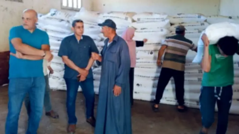وكيل زراعة كفر الشيخ يتفقد صرف الأسمدة الصيفية في بيلا