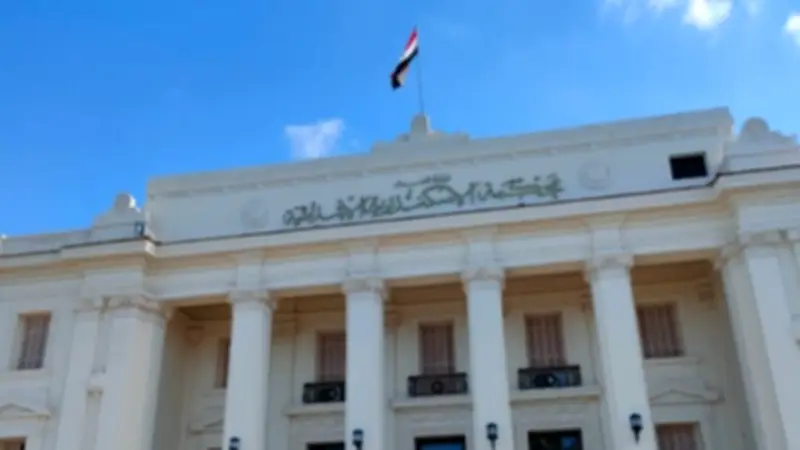إحالة أوراق متهم بقتل زوجته إلى مفتي الجمهورية في الإسكندرية