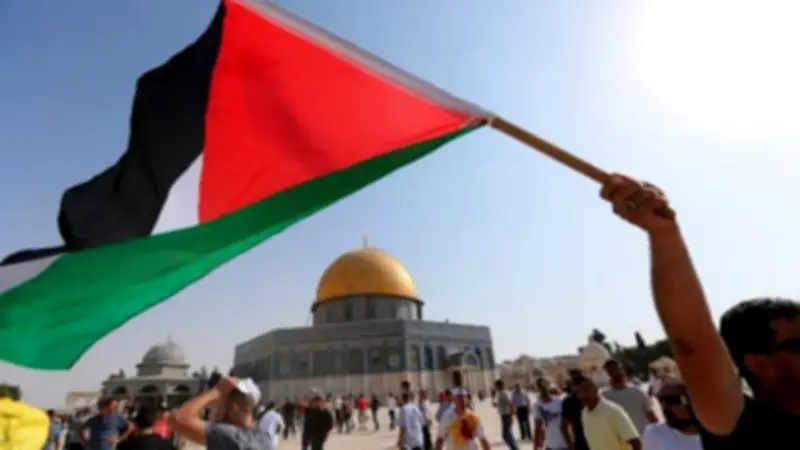 فاتن عبد المعبود: موقف مصر رافض لتهجير الفلسطينيين منذ بداية الأزمة