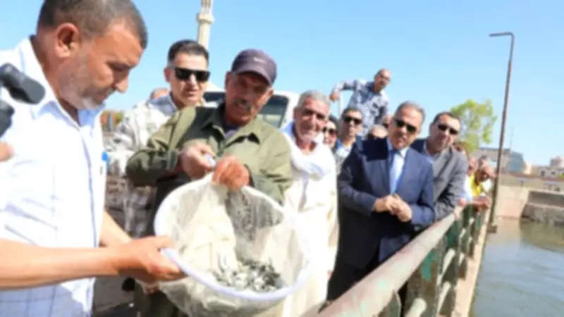 محافظ الشرقية يطلق مليون زريعة أسماك ببحر مويس بالزقازيق
