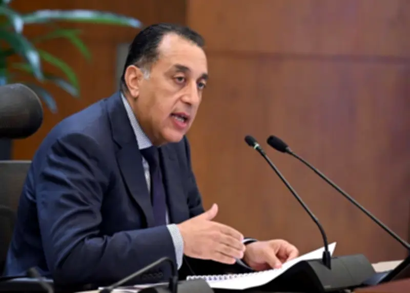 مدبولي: تشجيع خطط المشروعات الصناعية للتوسع في استثماراتها