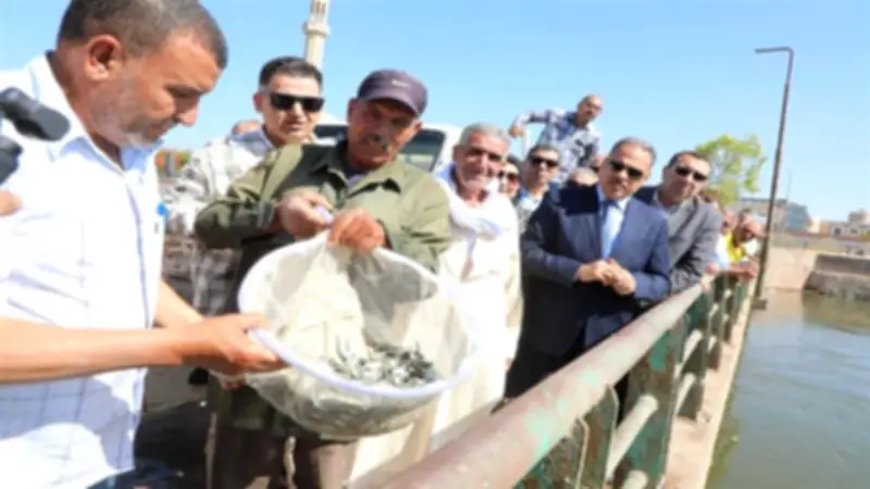 إطلاق مليون زريعة أسماك في بحر مويس بالشرقية لتعزيز الثروة السمكية