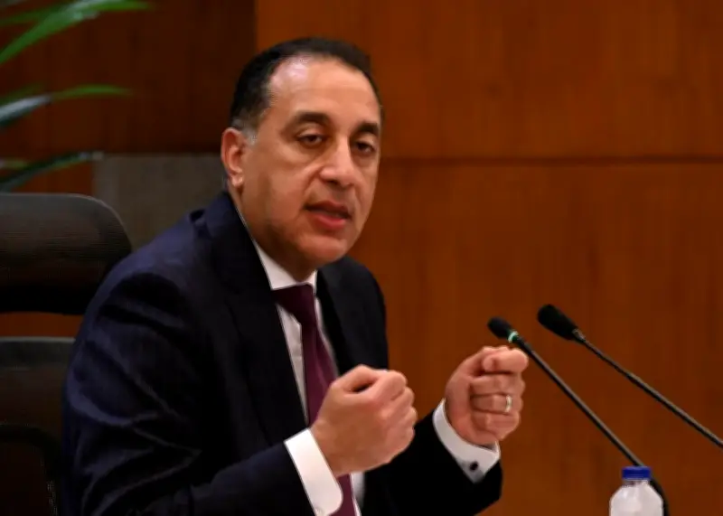 مدبولي: مشروعات الهياكل الحديدية أصبحت بالغة الأهمية من مجمع الغرابلي الصناعي