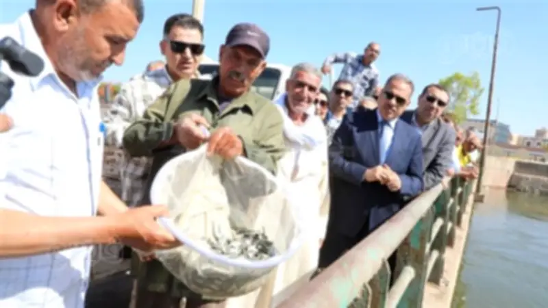 الشرقية تطلق مليون زريعة أسماك في بحر مويس لتعزيز الثروة السمكية