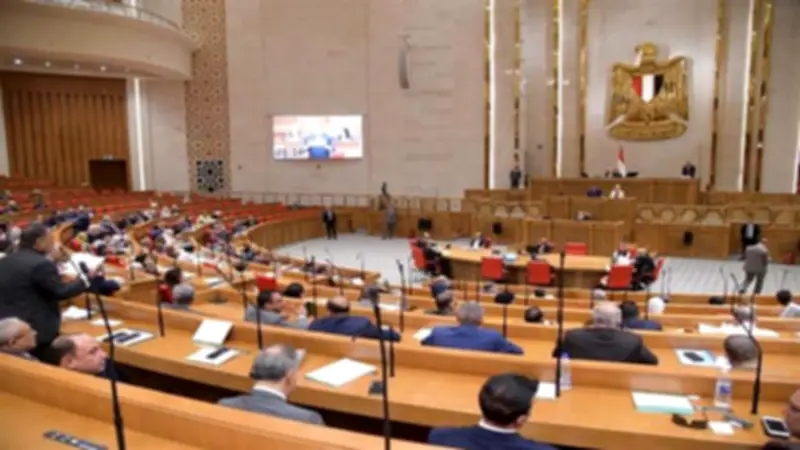 النواب يناقش تعديلات قوانين الضرائب والدمغة غدا بحضور وزير المالية